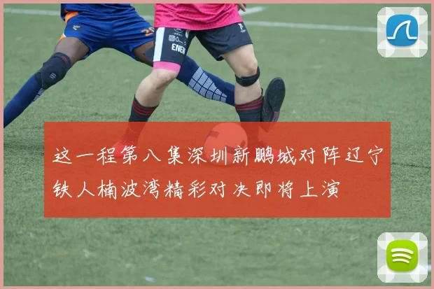 这一程第八集深圳新鹏城对阵辽宁铁人楠波湾精彩对决即将上演