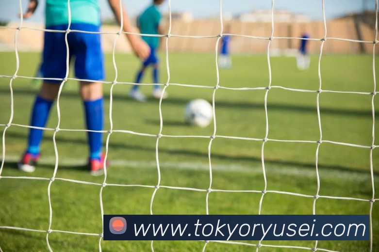 平台展示图