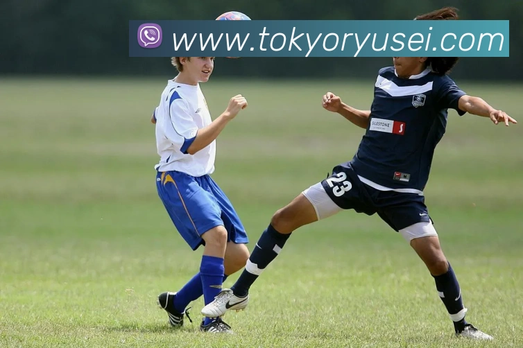 九游入口官网登录APP 高清赛事图